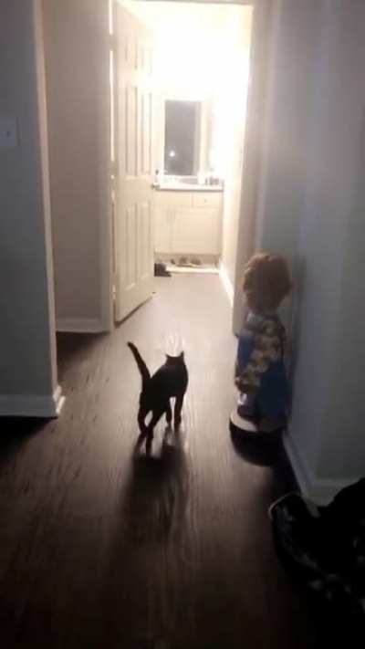 Cat does a handstand then walks it off like it was nothing