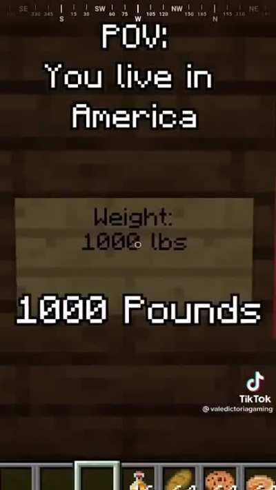 Rootin Tootin America