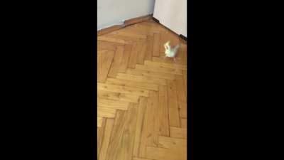 Eski KGB günlerinden kalma bir video buldum arşivimde Xsdsd<wbr>fgjkş<wbr>sdlkf<wbr>dkjgl<wbr>dkfjg<wbr>ldkjl<wbr>jkhkl<wbr>sjhdk<wbr>jshkd<wbr>js