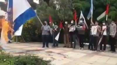 Burning flags
