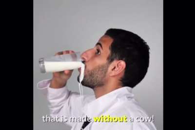 They what now