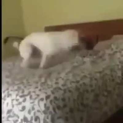 Here is fine