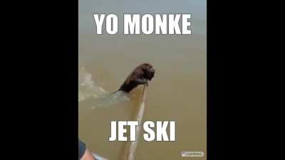 MONKE JET SKI MONKE JET SKI