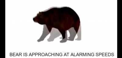 Slowly approaching bear