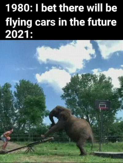 This is the future