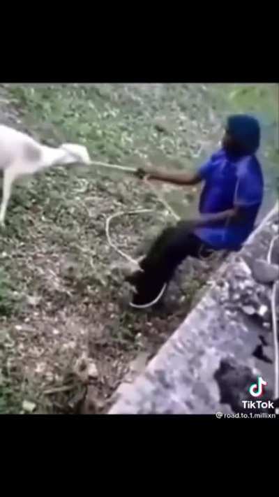 So halal mode
