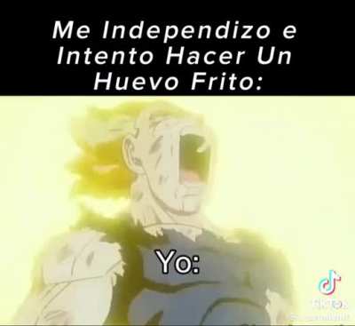 Si fui