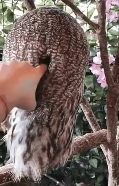 Please don't