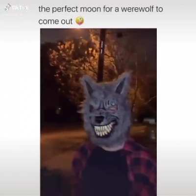 Werewolf🐺irl