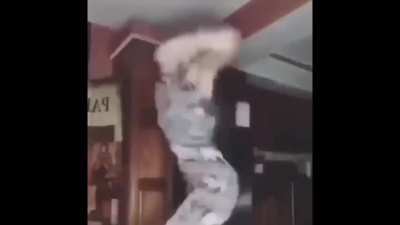 tira tira