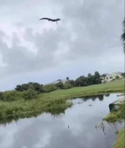 Florida