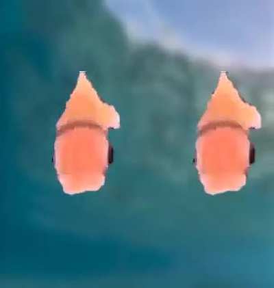 Fish rule