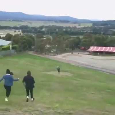 Rolling down a hill too successfully