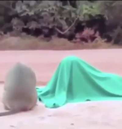 Bro saw his life flash before his eyes