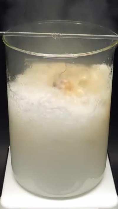 Chicken drumstick gets completely vaporized in an acid called 'Piranha Solution'