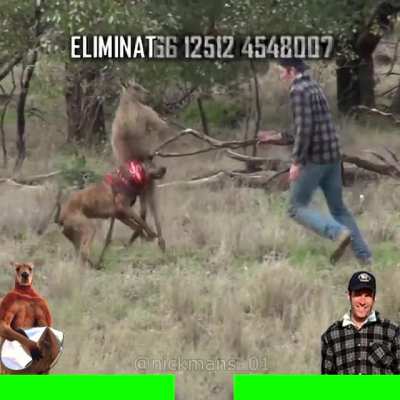 Kangaroo fighter 2‼️