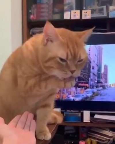 My reaction when Kenny asks for my Gamestop Shares