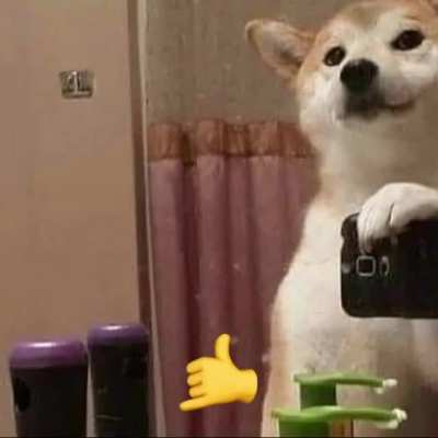 🤙