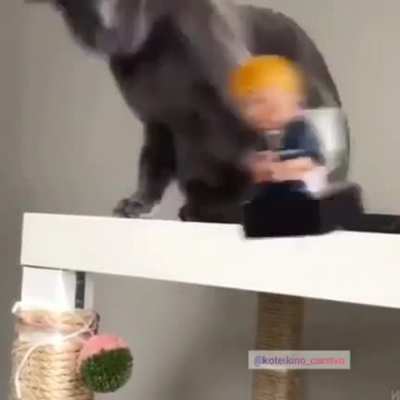 My cat hates it!