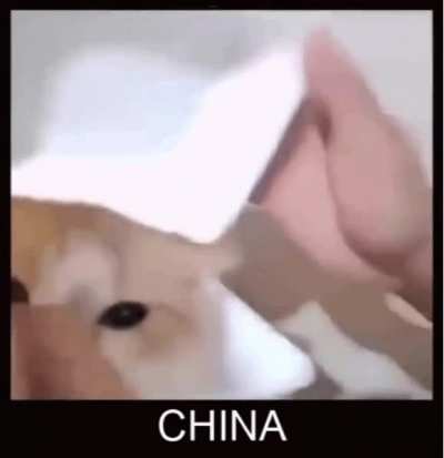 cornovirus contry xdd!!1! 🤣🤣🤣🇨🇳🇨🇳
