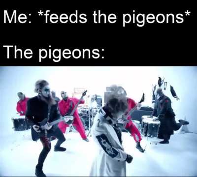 They’re groovin