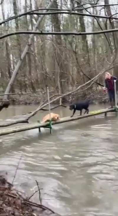 Держись, бро, я тебя спасу!