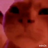 Me fighting DoG at 3AM