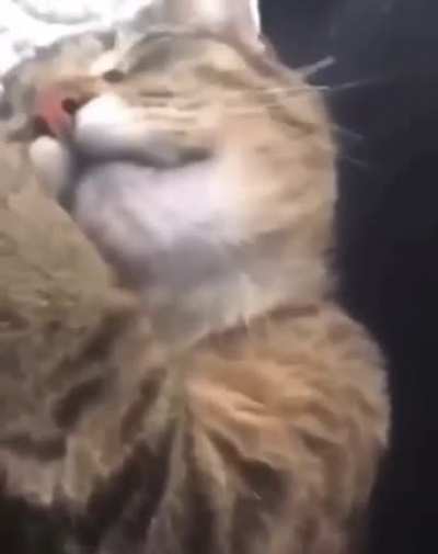 dönüşmüyor :(