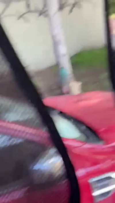 caught in the car