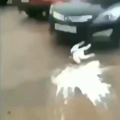death.mp4