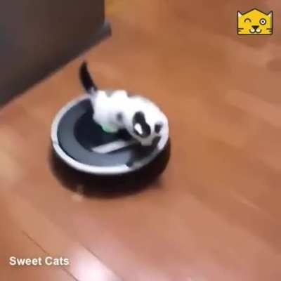 Going for a ride
