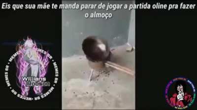Almoço perfeito e tué