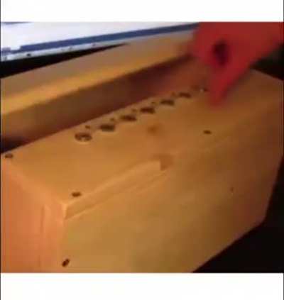 Beep bop I'm not a bot