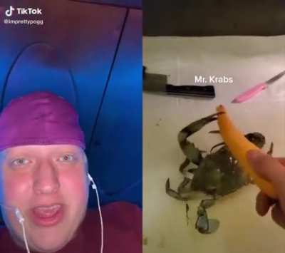 crab