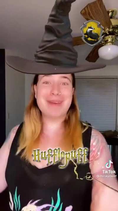 Harry Potter adult