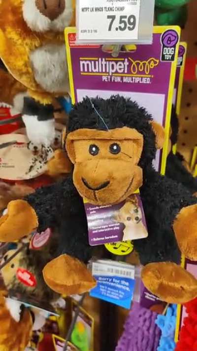 Monkey