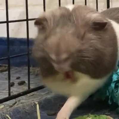 Streeeeeetch!