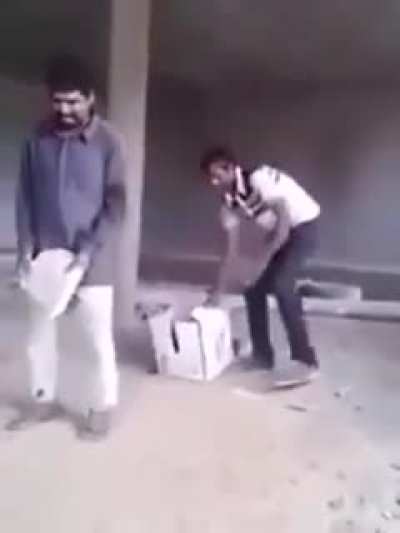 Bonk