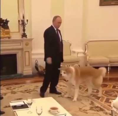 wholesome Mr. Putin