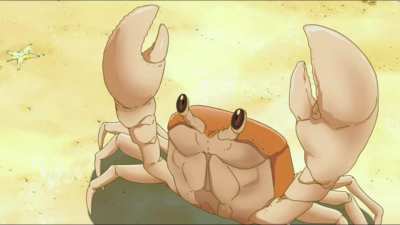 Poor crab....