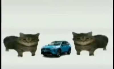 Toyota 🚗