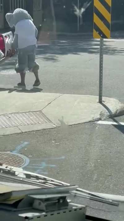 Homeless furry in Downtown Ottawa