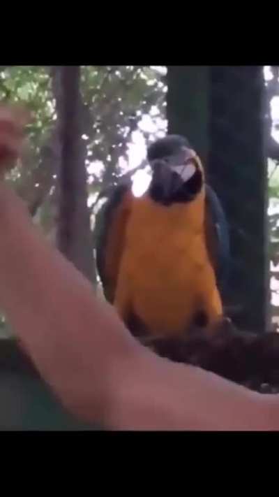 Maybe Maybe Maybe