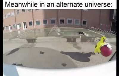 gotta catch em all