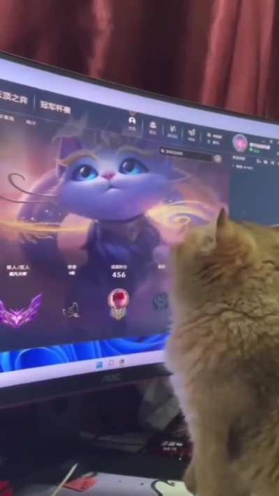 He want a girl
