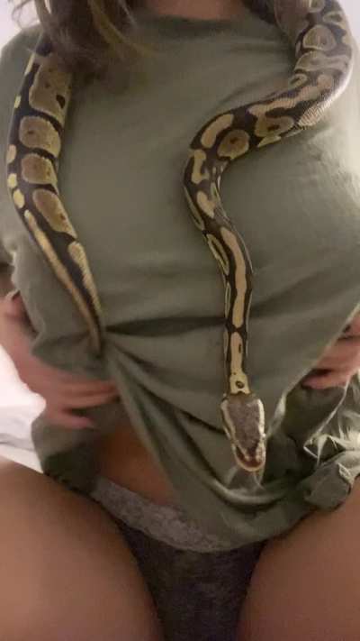 Titty drop…but with a snake 🤪