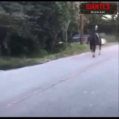 Me after accidentally trucking an NPC in Saint Denis at 80 mph