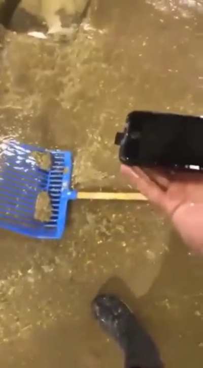 Oh no, it's wet...