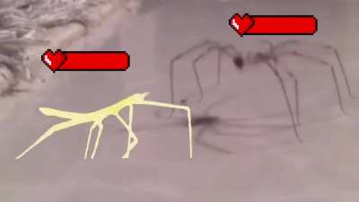 The colossal enemy spider