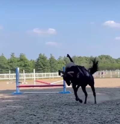 A gassy horse throwing his rider